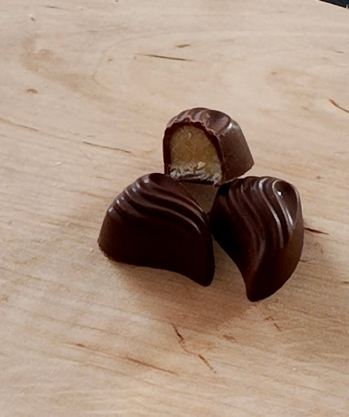 Bonbon chocolat lait et praliné noix de coco